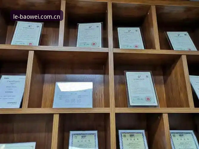 6个维度深度解析：宝威品牌评价评测的真相与价值